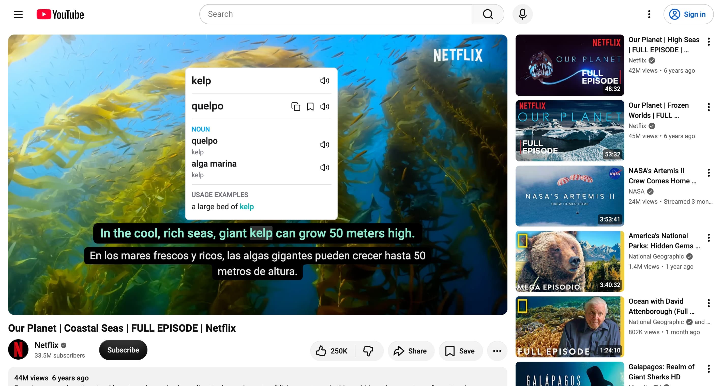 DoubleSubs: Dual subtitles on YouTube